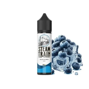Φωτογραφία του προϊόντος Steam Train Disposable Edition 20/60ml Blueberry Ice.