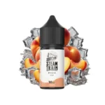 Φωτογραφία του προϊόντος Steam Train Disposable Edition 10/30ml Peach Ice.