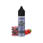 Φωτογραφία του προϊόντος Steam Train Old Stations 12/60ml Red Berries Slash.