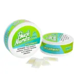 Φωτογραφία του προϊόντος Pouch Nurdz Spearmint 6mg/pouch.